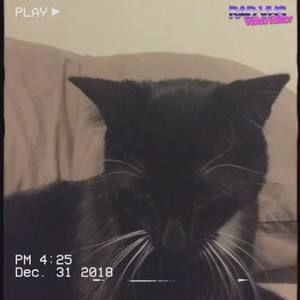 Meet your Posher, Philip